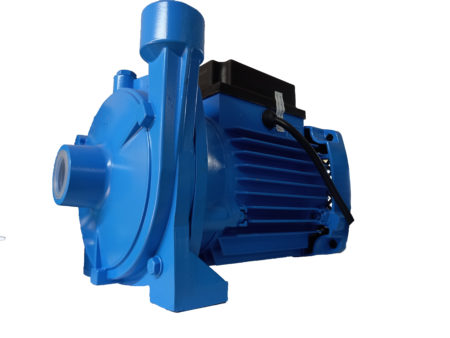 nasos dlya poliva vodolej bcz 1.6 20u 450x338