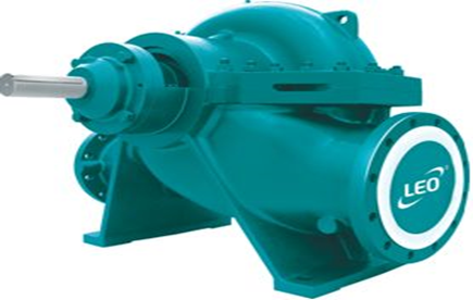 Насос LEO GS150-100-310 (CCSM)