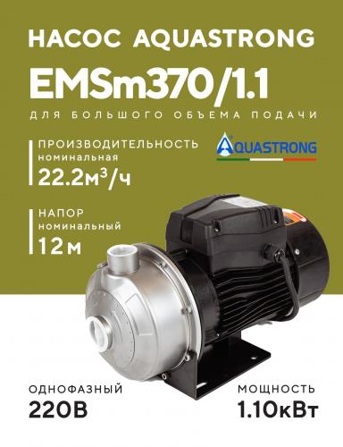 Насос поверхностный AQUASTRONG EMSm (220В)