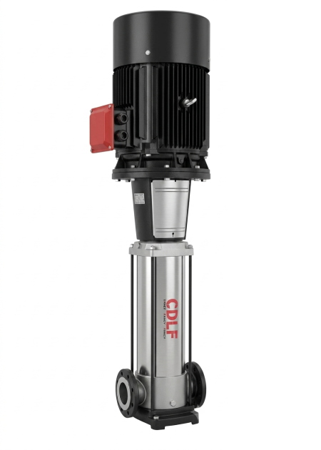 vertikalnyy mnogostupenchatyy nasos fancy cdlf 2 18 380v 1 450x631
