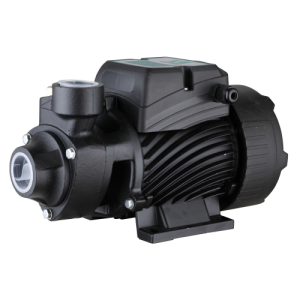 Вихревой насос Pumpman QB80